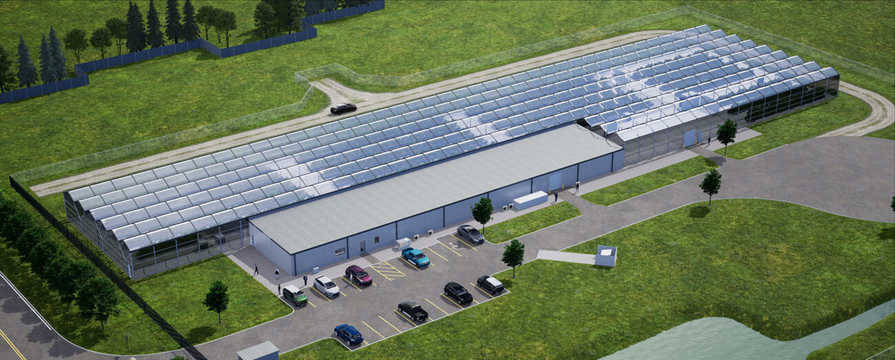 LSL Management Rendering